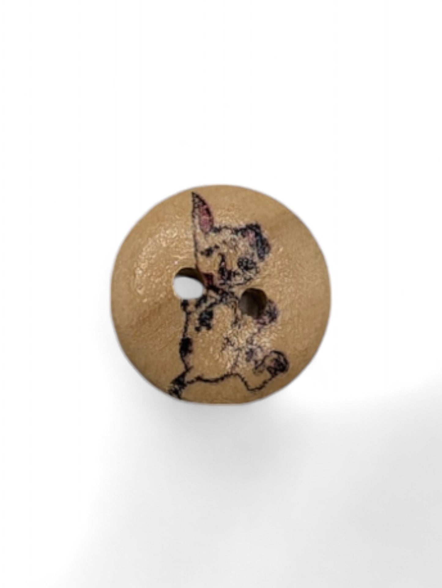 Craft button for sewing - texture detail