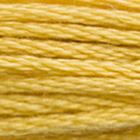 DMC Mouline Special 3821