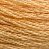 DMC Mouline Special 3827