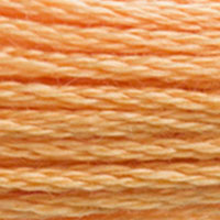 DMC Mouline Special 3854