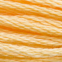 DMC Mouline Special 3855