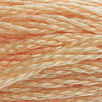 DMC Mouline Special 3856