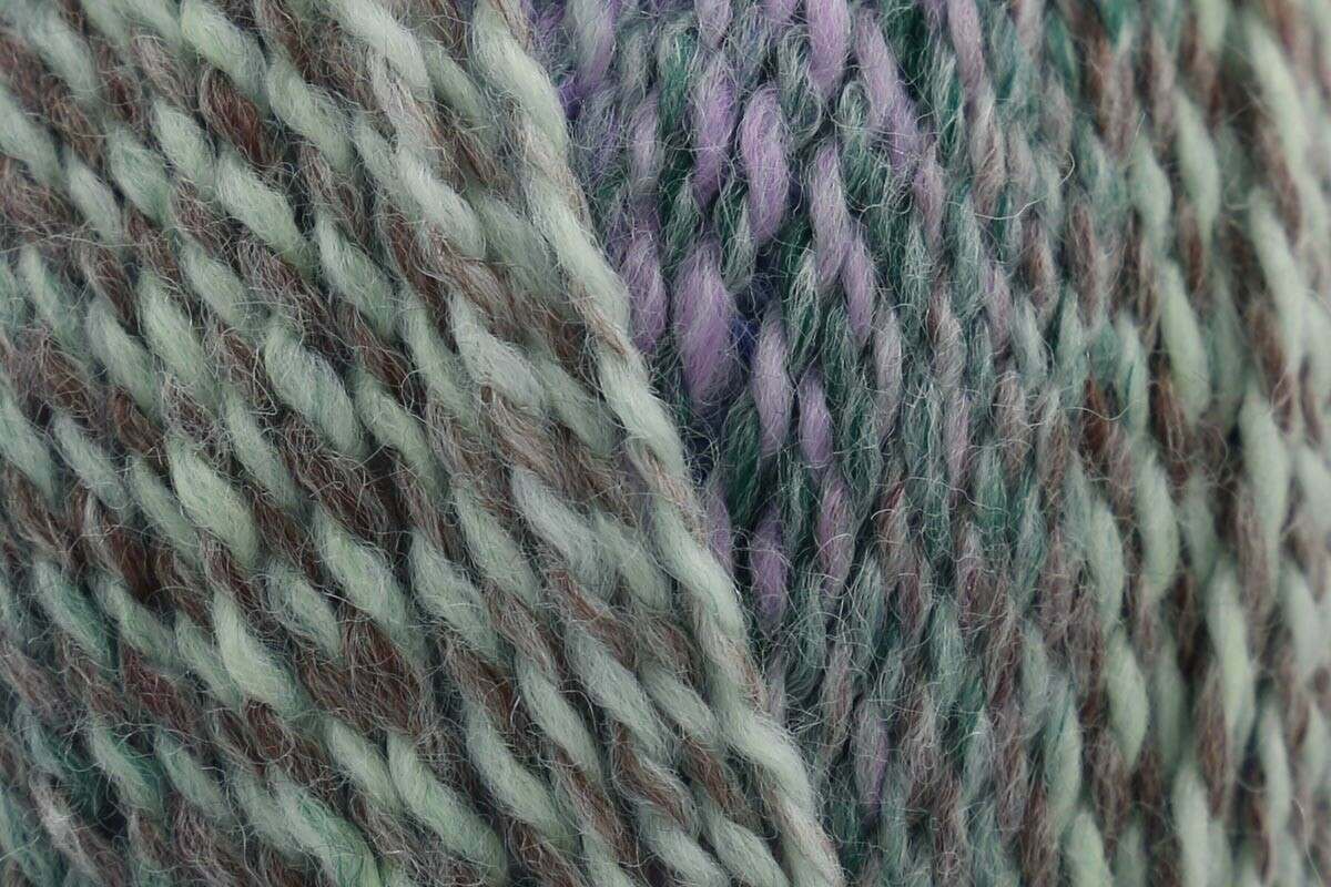 Stylecraft Chromatic DK in Frosted Flora — 80% Premium Acrylic, 20% Wool, DK (Double Knitting), 100g