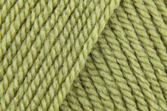 Stylecraft Special DK - Meadow