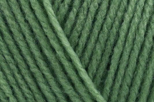 Stylecraft Special DK - Cypress