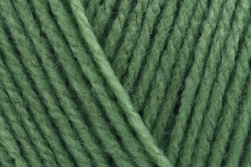 Stylecraft Special DK - Cypress